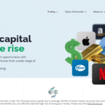 Capital Panda Website