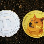 dogecoin, crypto, cryptocurrency, coin