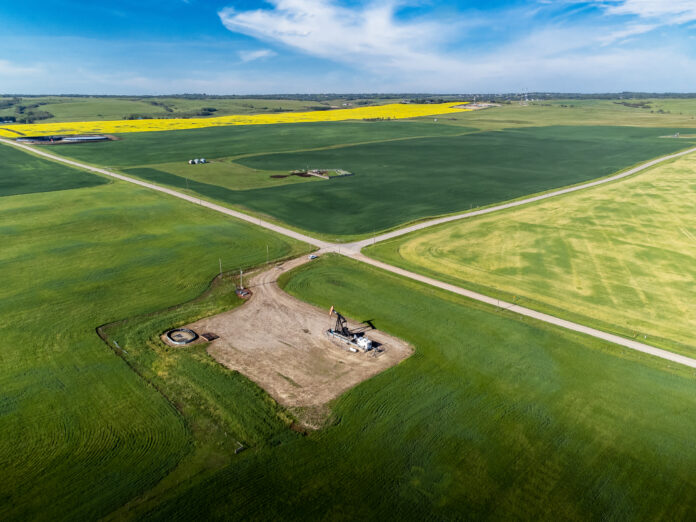 China will investigate Canadian canola imports for dumping in response to Canada's 100% tariff on Chinese EVs, after a rise in exports to China.